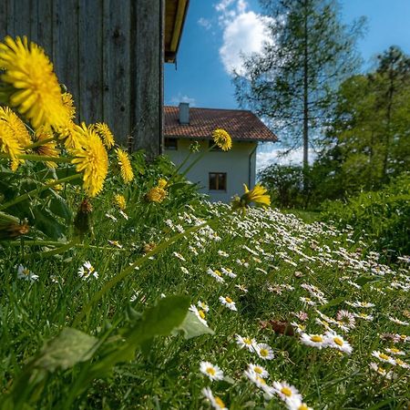 Ferienhaus Schlierachtal Миезбах Екстериор снимка