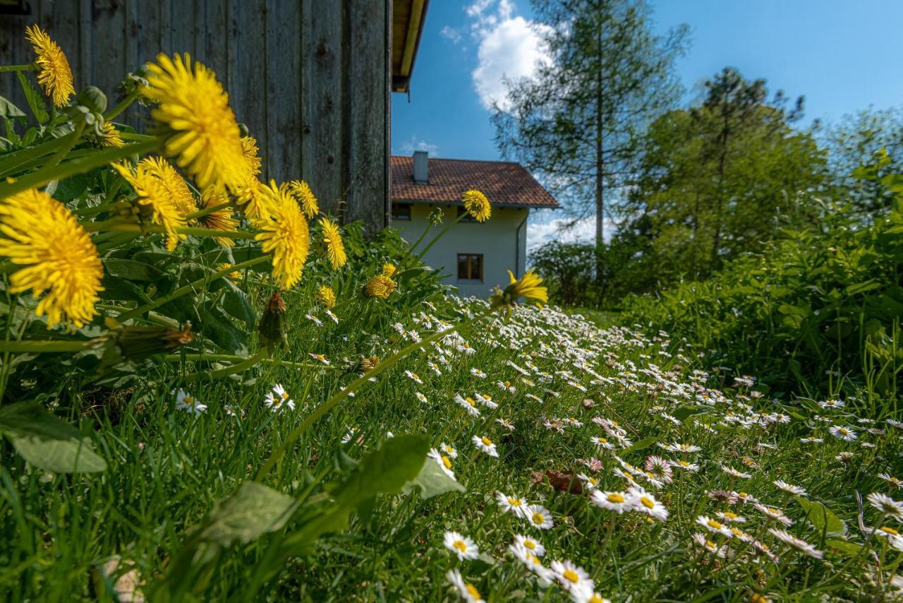 Ferienhaus Schlierachtal Миезбах Екстериор снимка